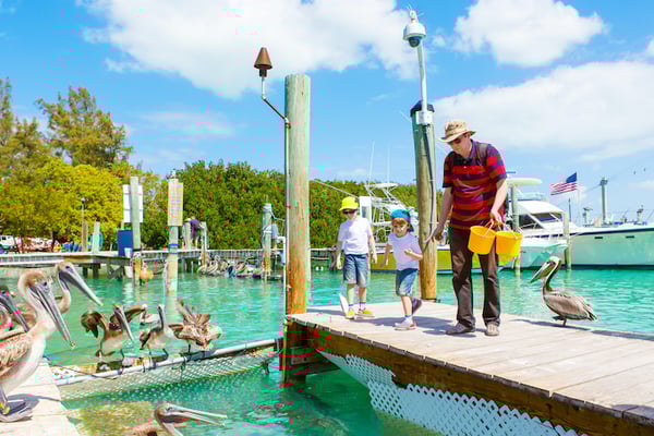 Islamorada, Florida Vacation Rentals