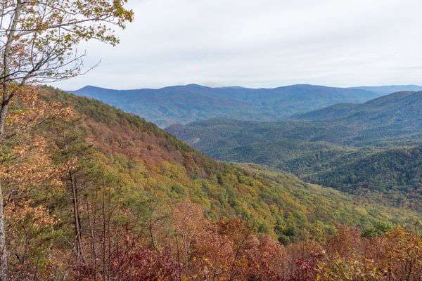Ellijay, Georgia Vacation Rentals